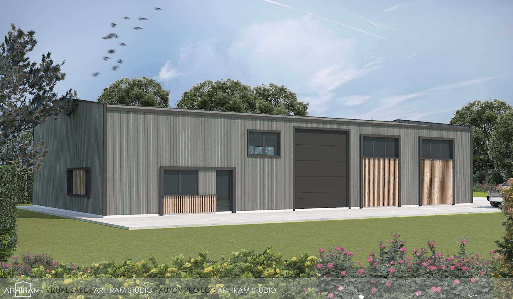 Hala Faurar — Vedere 4